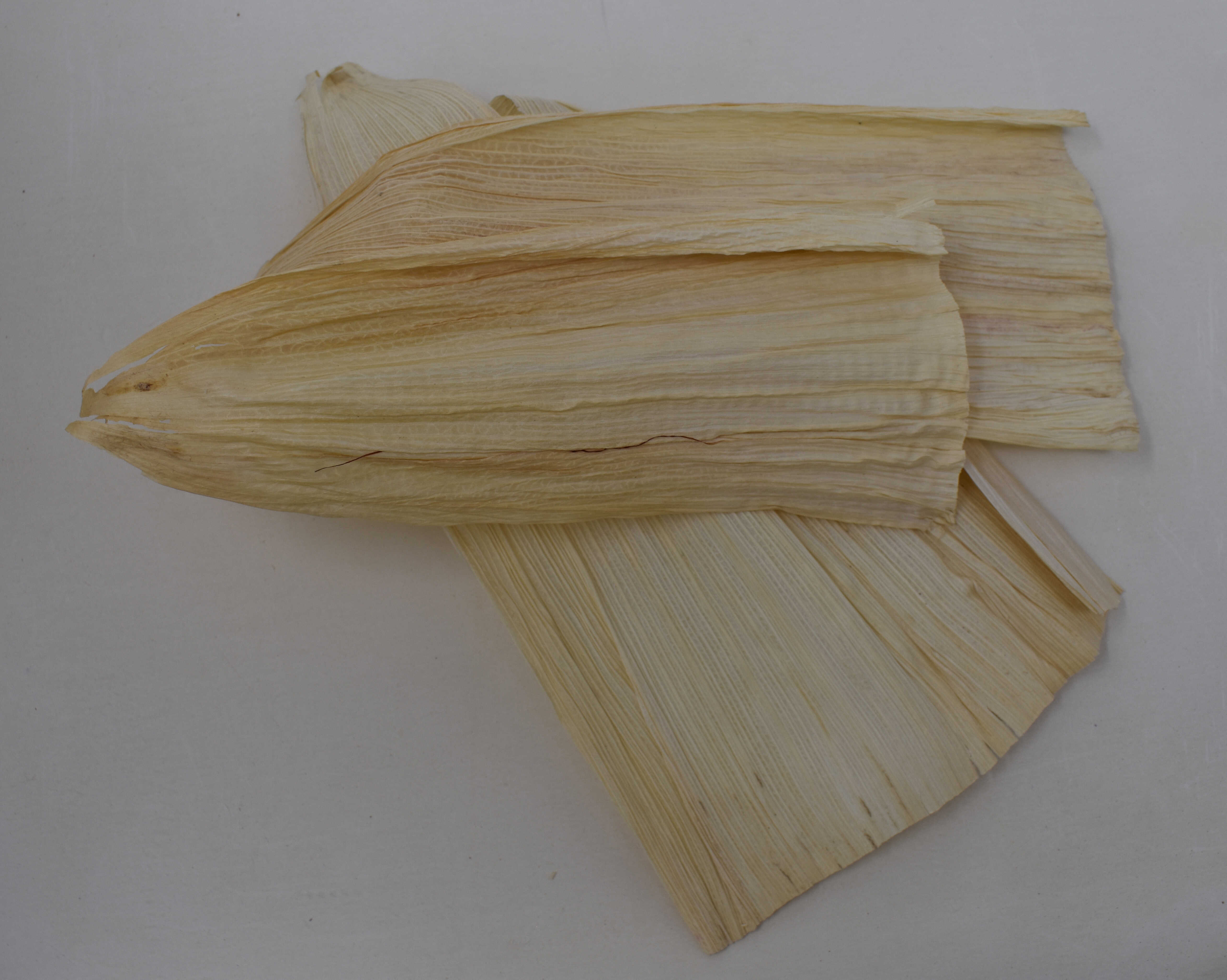 Corn Husks - Top Photo