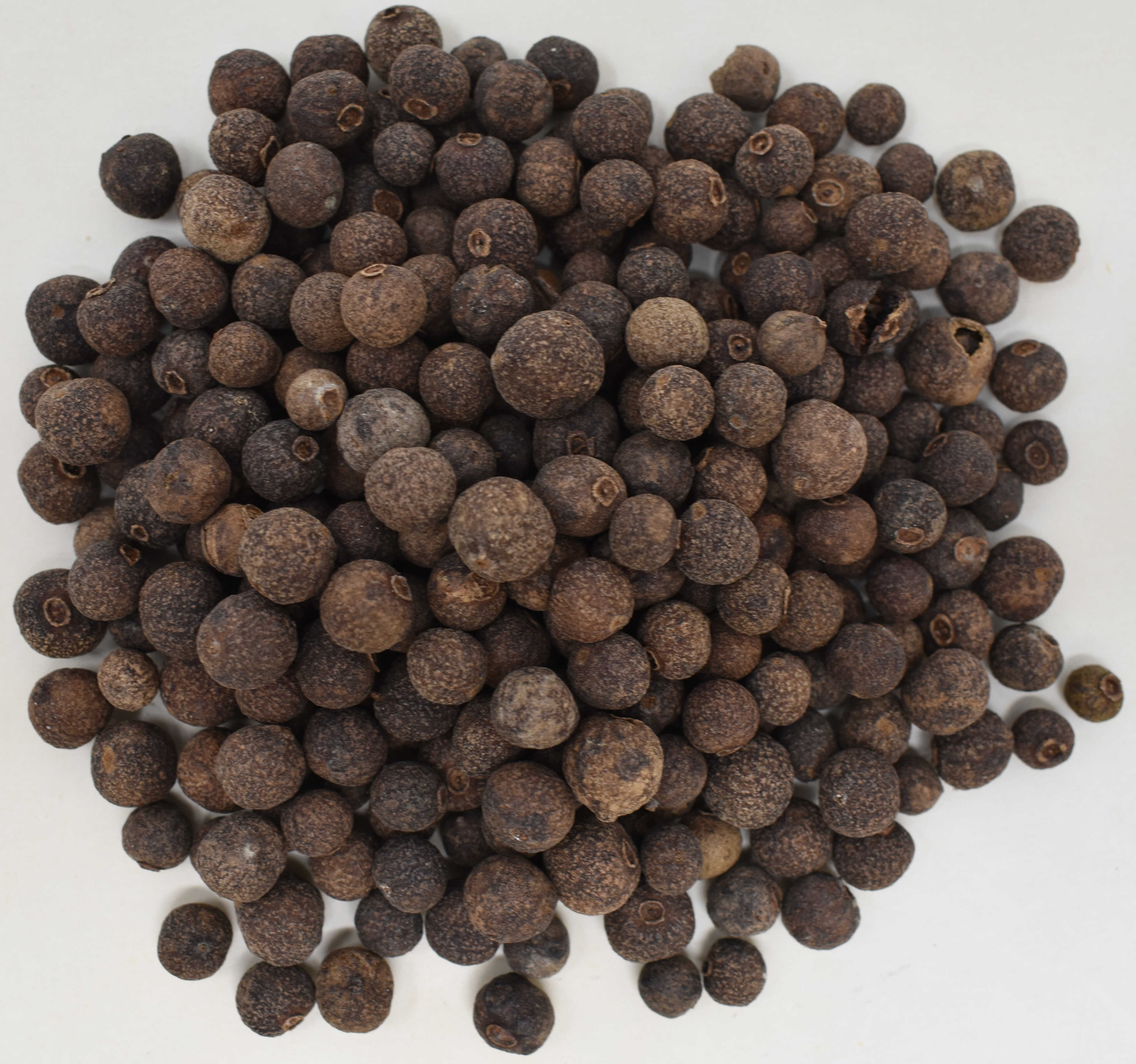 Allspice Berries <BR>(Jamaican) - Top Photo