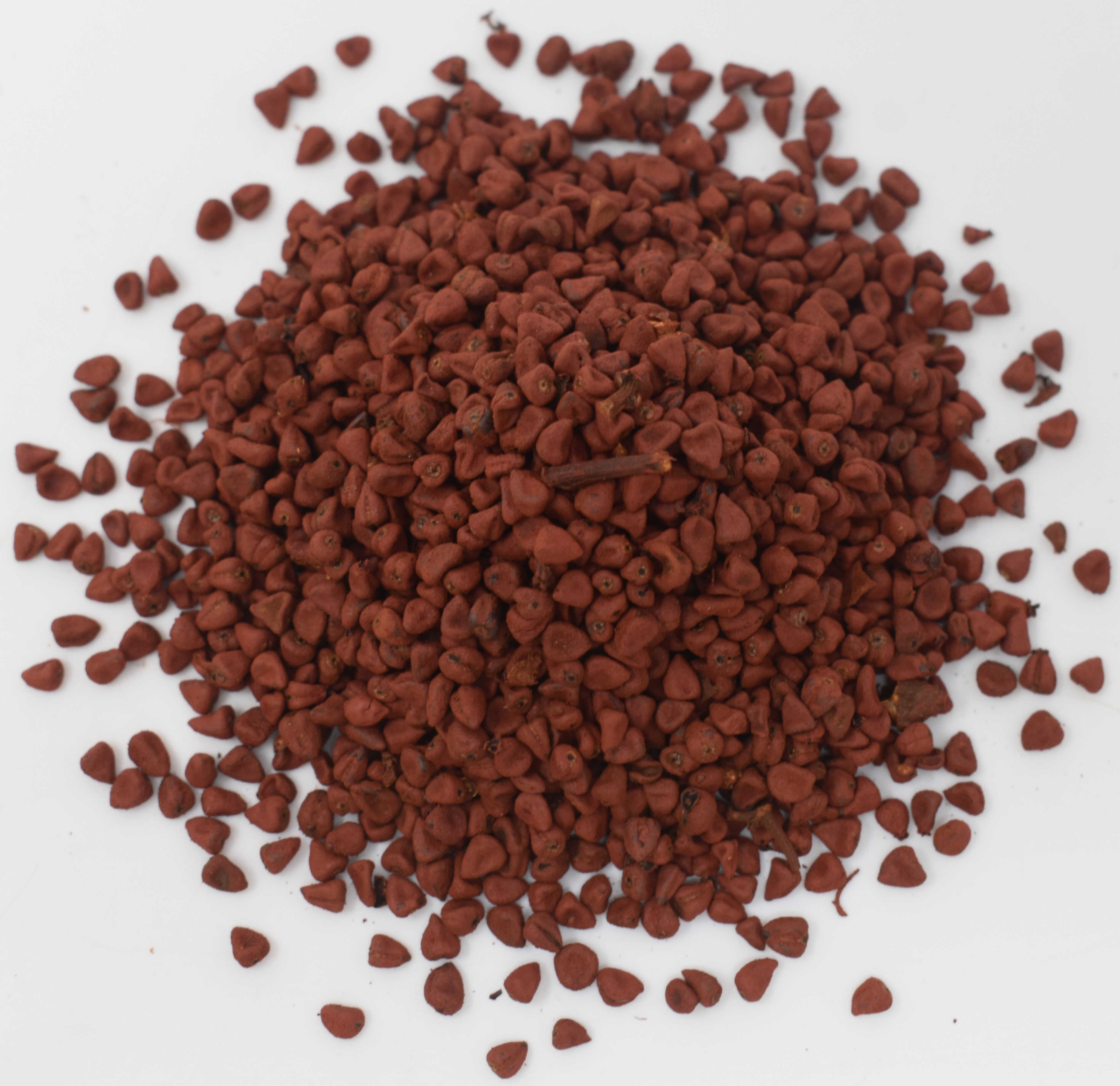 Annatto <BR>(Achiote) Seeds - Top Photo