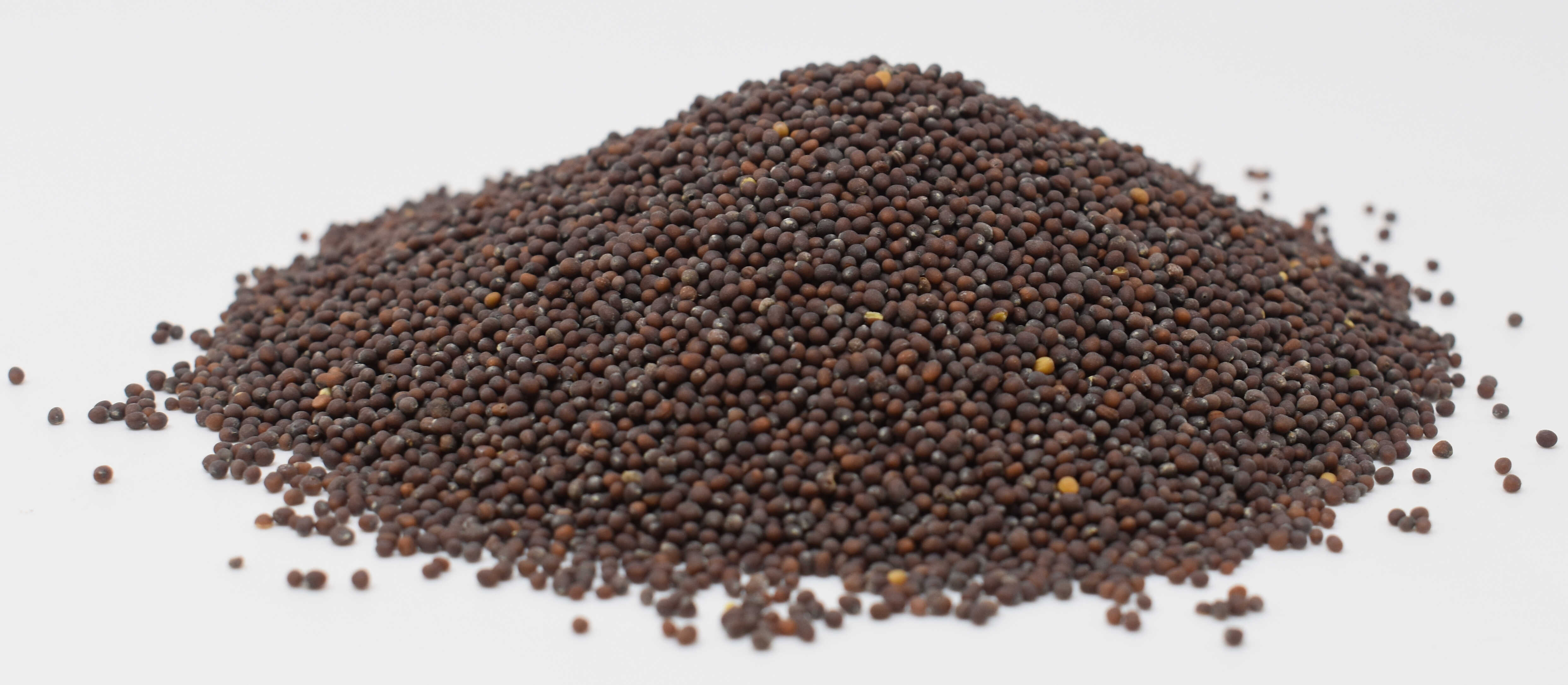 Mustard Seeds <BR>(Brown) - Side Photo