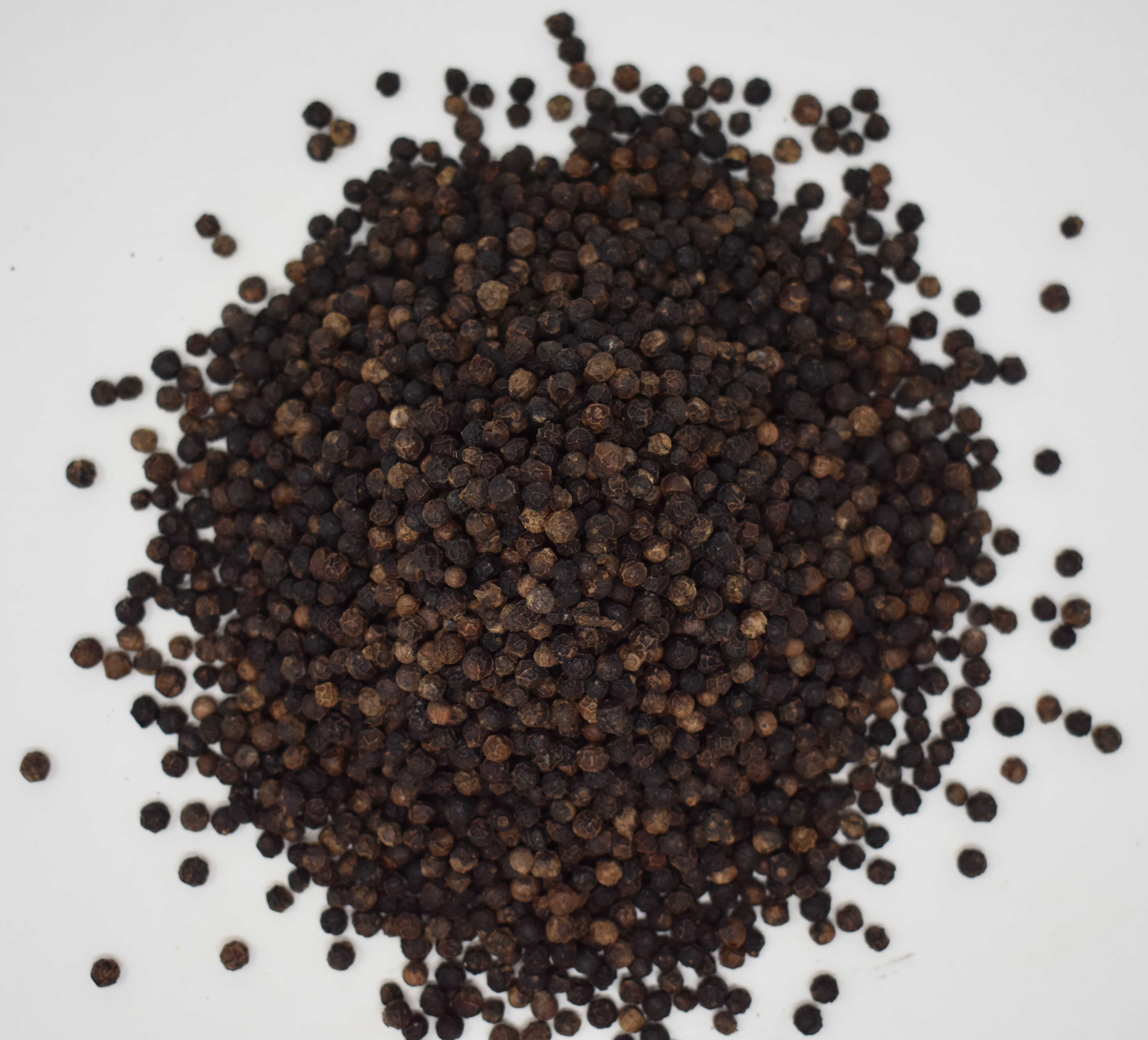 Peppercorns, Black Lampong - Top Photo