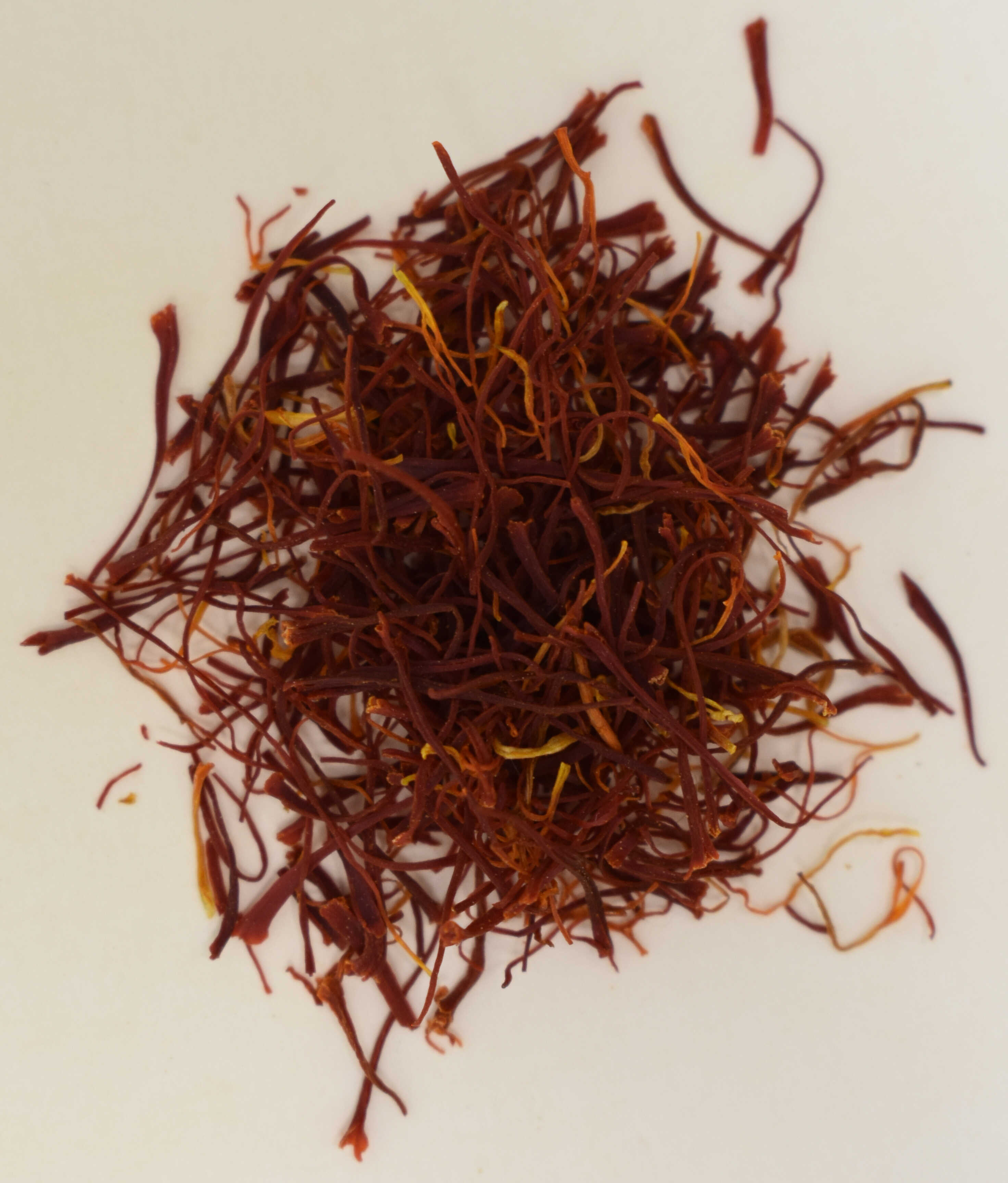 Spanish Saffron, Whole Threads <BR>(Mancha) - Top Photo