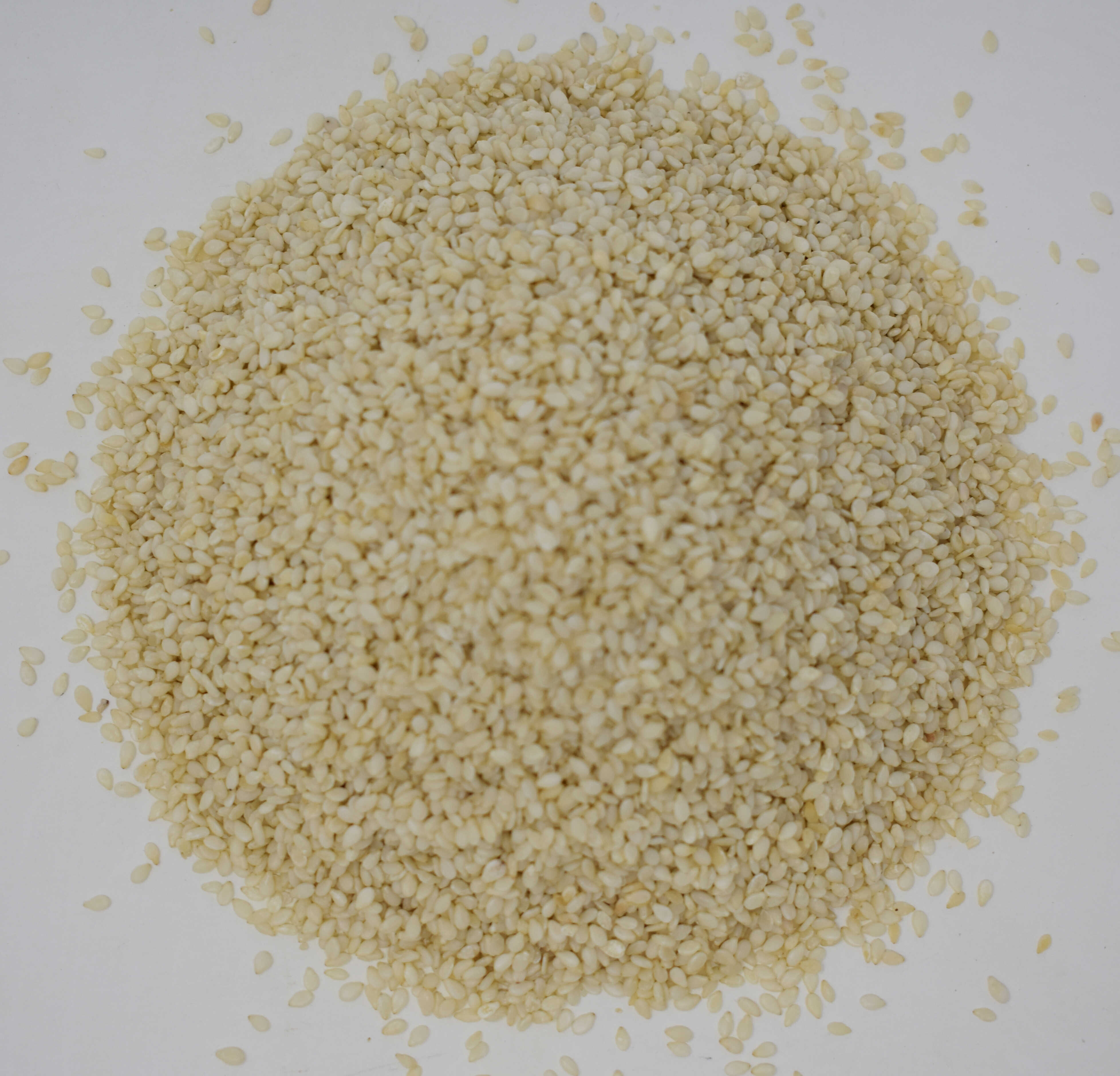 Sesame Seeds <BR>(Hulled) - Top Photo