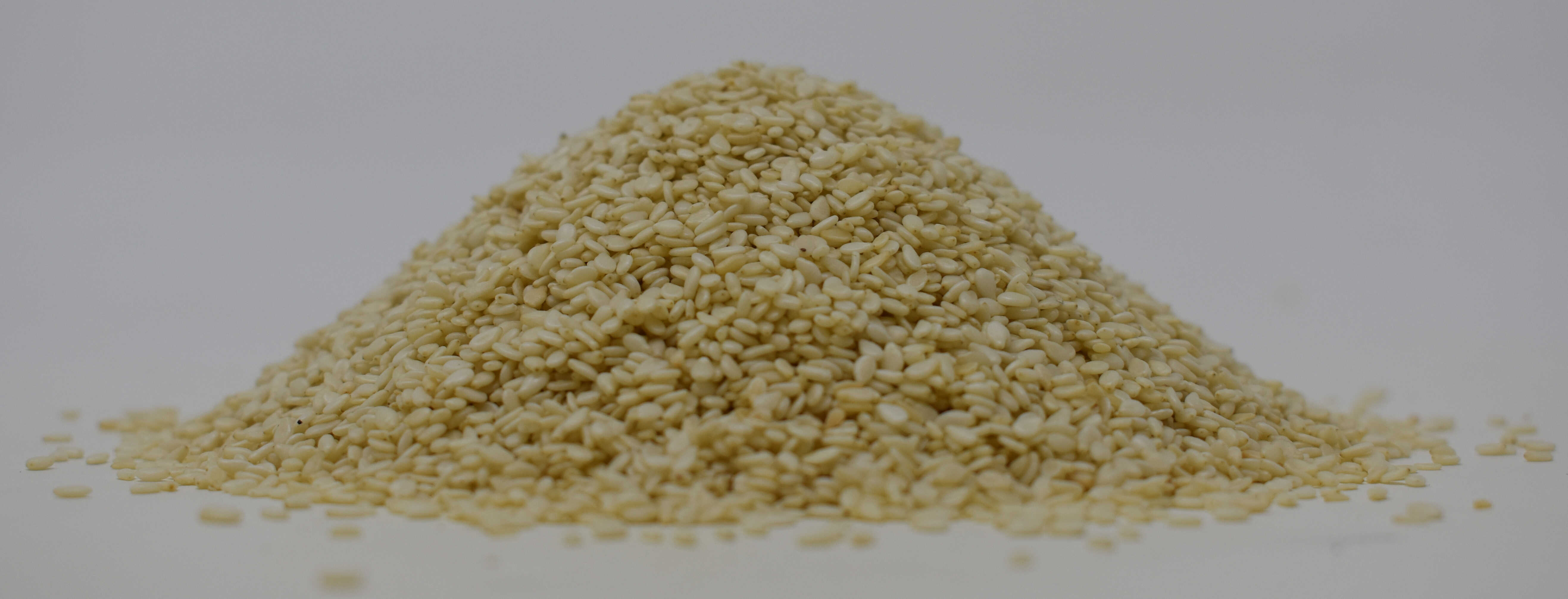 Sesame Seeds <BR>(Hulled) - Side Photo