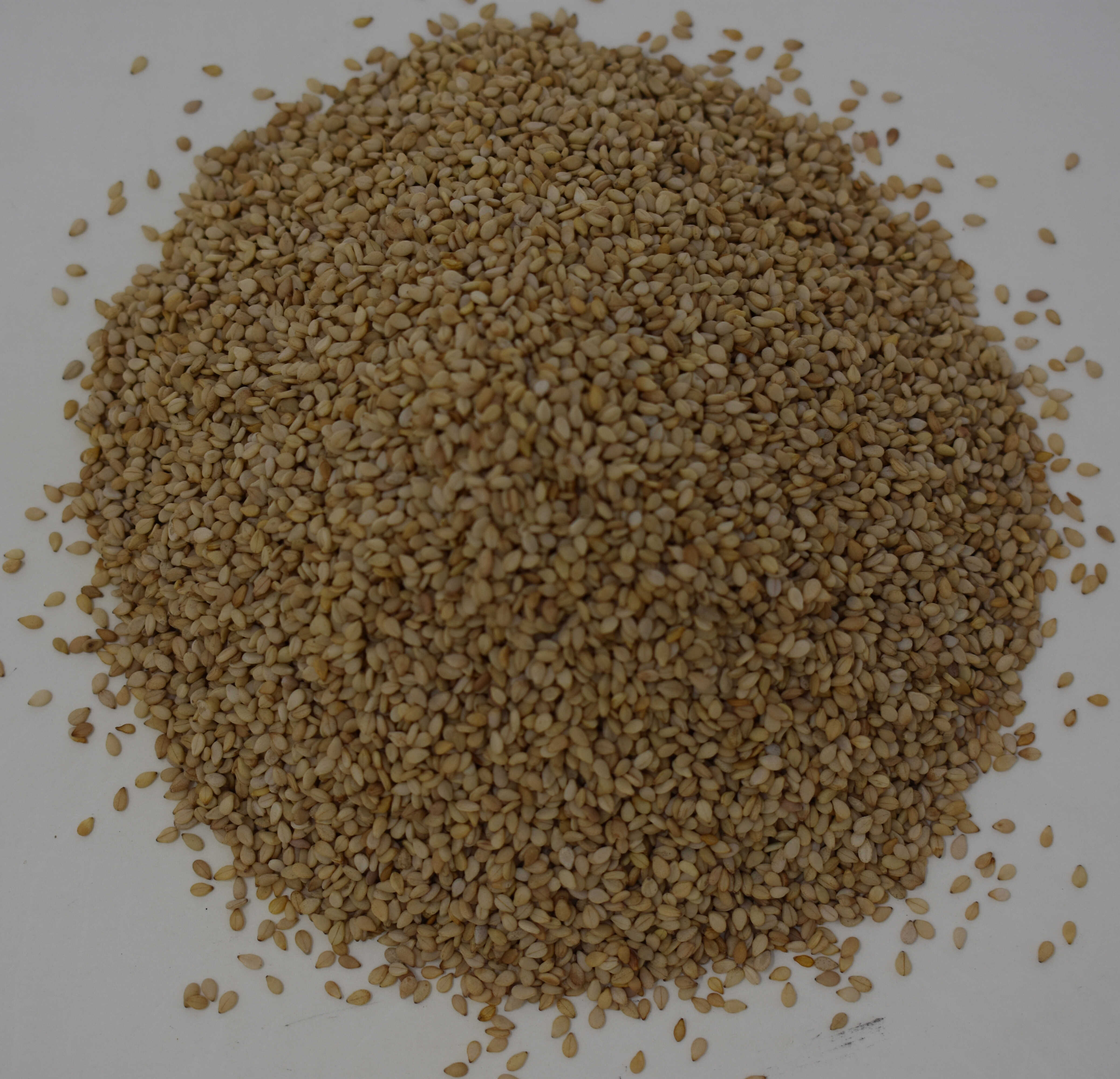 Sesame Seeds <BR>(Natural) - Top Photo