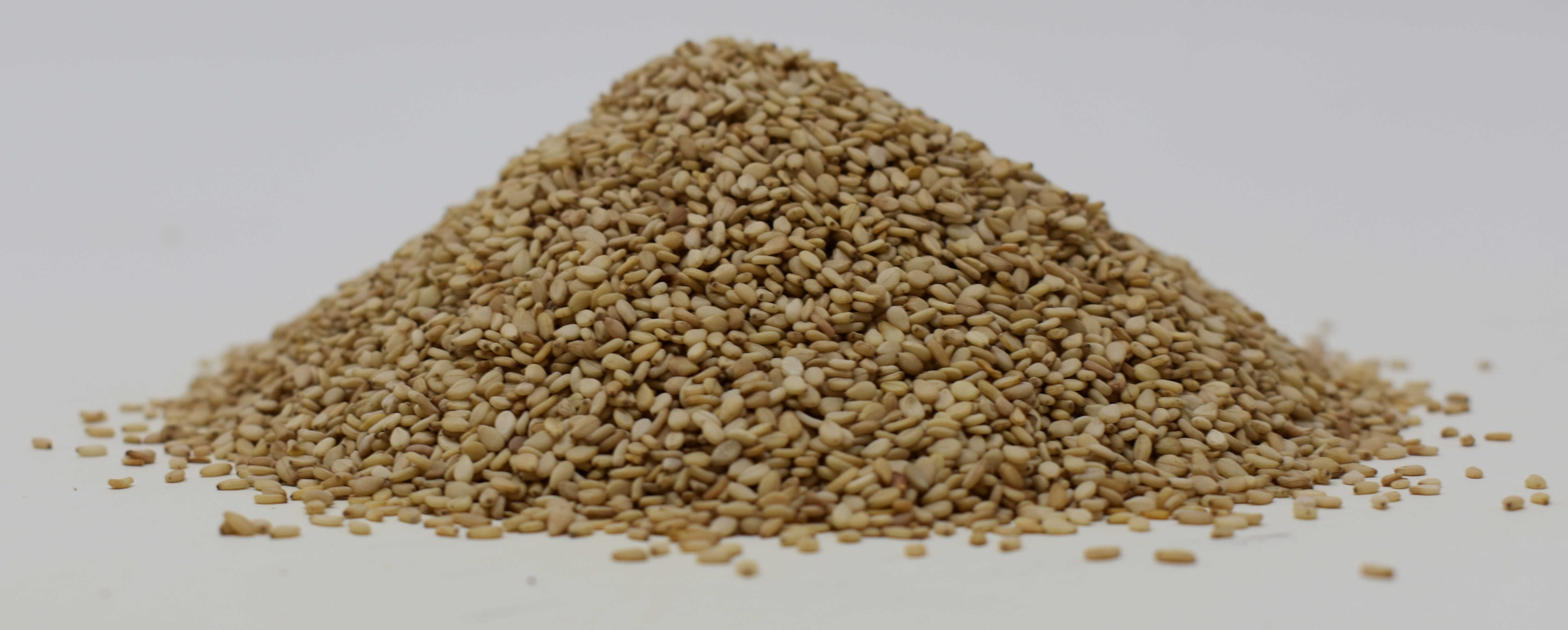 Sesame Seeds <BR>(Natural) - Side Photo