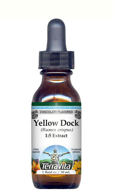 Yellow Dock (Rumex crispus) Root - Glycerite Liquid Extract