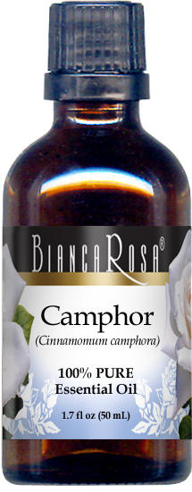 White Camphor Pure Essential Oil
