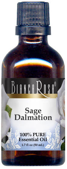 Sage Dalmatian Pure Essential Oil