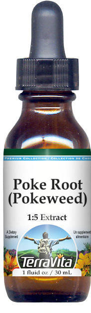 Poke Root (Pokeweed) - Glycerite Liquid Extract (1:5)