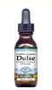 Organic Dulse Seaweed - Glycerite Liquid Extract (1:5)
