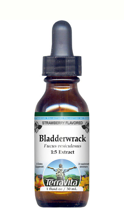Bladderwrack Blue-Green Kelp - Glycerite Liquid Extract (1:5)