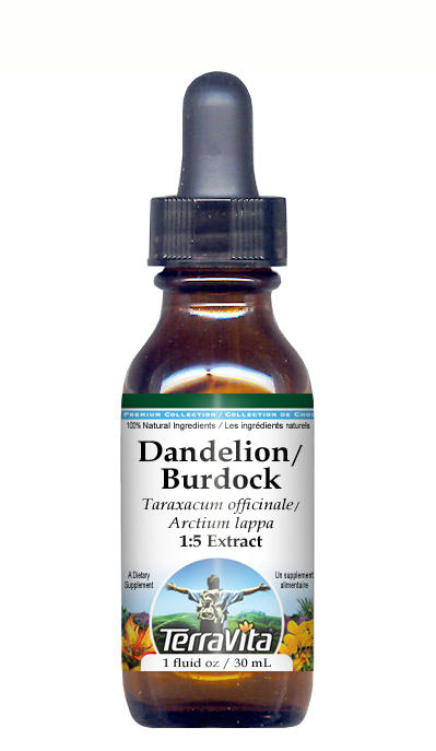 Dandelion Root and Burdock Root - Glycerite Liquid Extract (1:5)