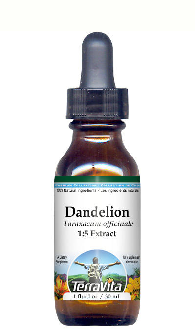 Dandelion Root - Glycerite Liquid Extract (1:5)