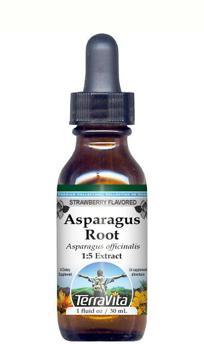 Asparagus Root - Glycerite Liquid Extract (1:5)