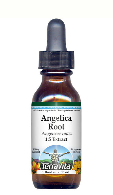 Angelica Root - Glycerite Liquid Extract (1:5)