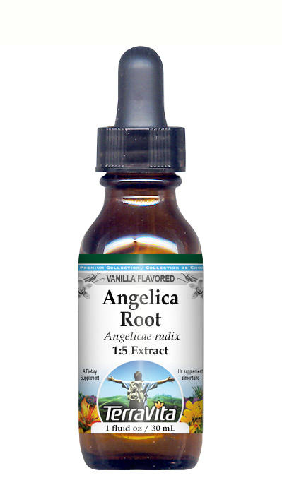 Angelica Root - Glycerite Liquid Extract (1:5)