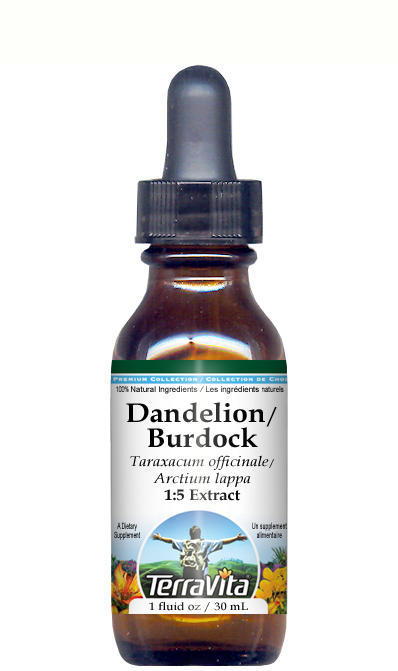 Dandelion Root and Burdock Root - Glycerite Liquid Extract (1:5)