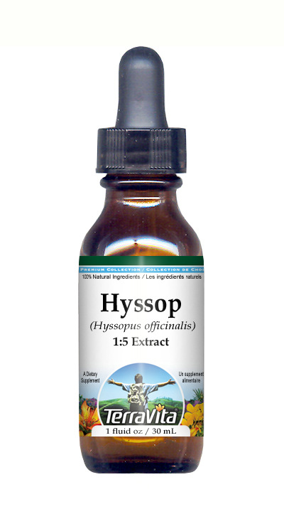 Hyssop Herb - Glycerite Liquid Extract (1:5)