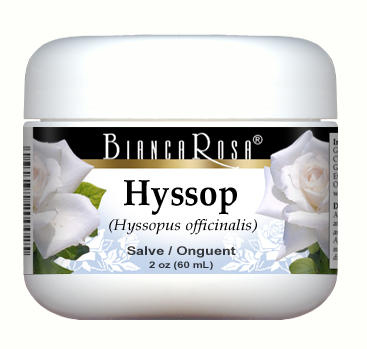 Hyssop Herb - Salve Ointment