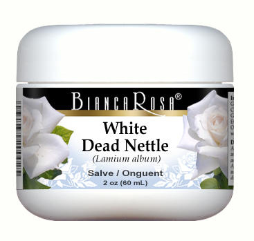 White Dead Nettle - Salve Ointment