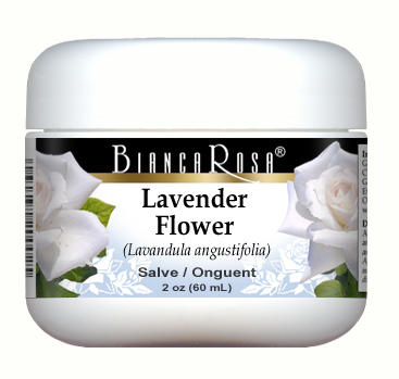 Lavender Flower - Salve Ointment