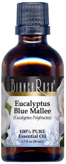 Eucalyptus Blue Mallee Essential Oil