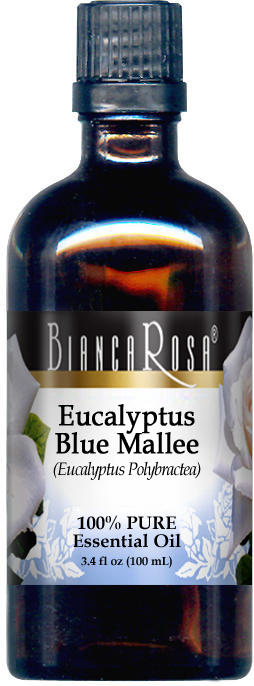 Eucalyptus Blue Mallee Essential Oil