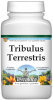 Tribulus Terrestris Powder
