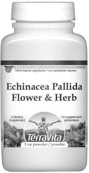 Echinacea Pallida Flower and Herb Powder