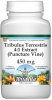 Tribulus Terrestris 4:1 Extract (Puncture Vine) - 450 mg