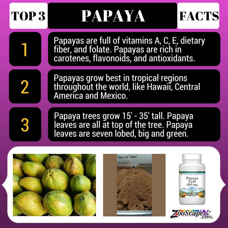 Papaya Leaf - 450 mg