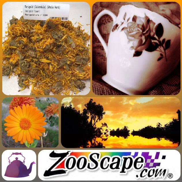 Marigold (Calendula) Tea (Zeaxanthin)