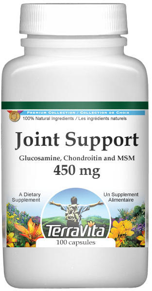 Joint Support - Glucosamine, Chondroitin and MSM - 450 mg