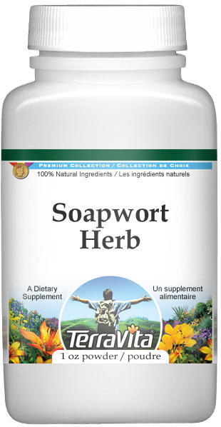 Soapwort Herb Powder