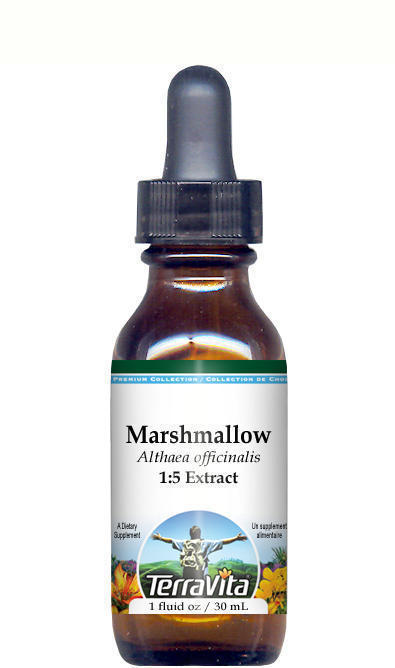 Marshmallow Root Glycerite Liquid Extract (1:5)