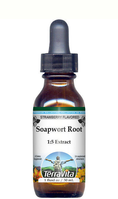 Soapwort Root Glycerite Liquid Extract (1:5)