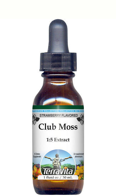 Club Moss Glycerite Liquid Extract (1:5) - (Lycopodium Clavatum)