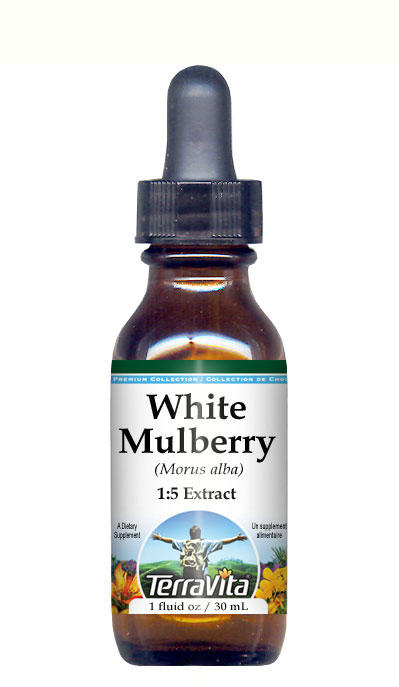 White Mulberry (Morus alba) Glycerite Liquid Extract (1:5)