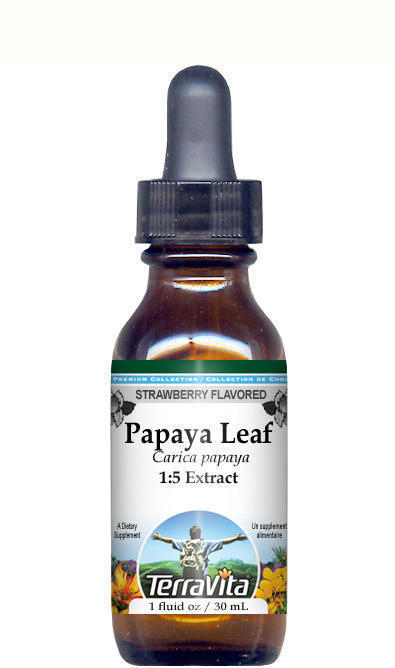 Papaya Leaf Glycerite Liquid Extract (1:5)