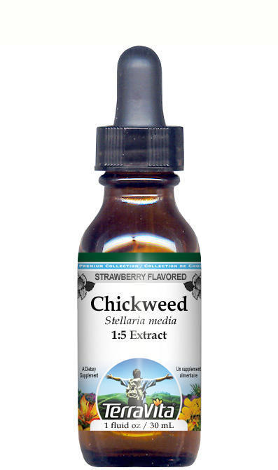 Chickweed Glycerite Liquid Extract (1:5)