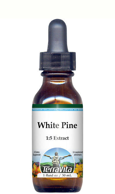 White Pine Bark Glycerite Liquid Extract (1:5)