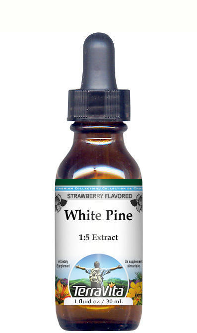 White Pine Bark Glycerite Liquid Extract (1:5)