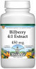 Bilberry 4:1 Extract - 450 mg
