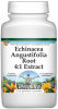 Echinacea Angustifolia Root 4:1 Extract Powder