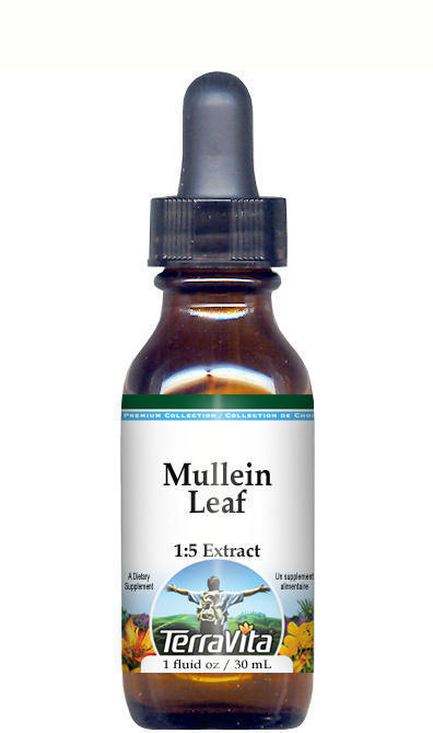 Mullein Leaf Glycerite Liquid Extract (1:5)