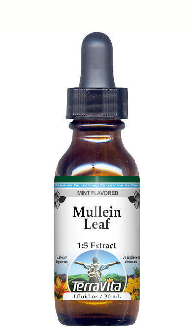 Mullein Leaf Glycerite Liquid Extract (1:5)