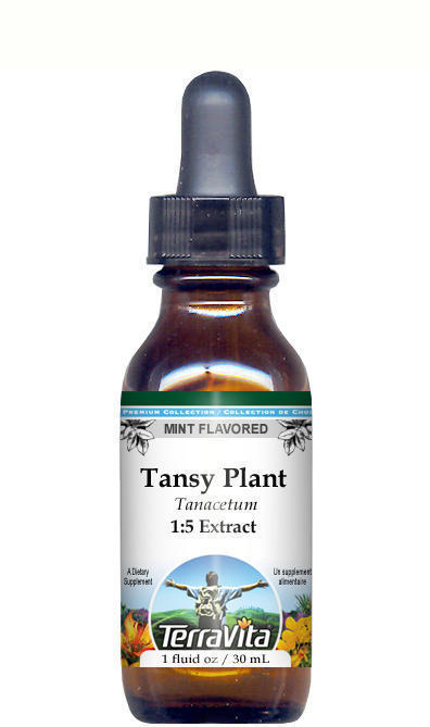 Tansy Plant Glycerite Liquid Extract (1:5)