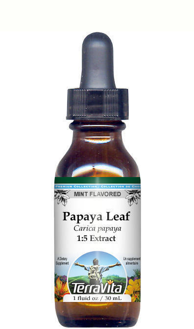 Papaya Leaf Glycerite Liquid Extract (1:5)