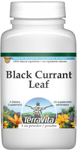 Black Currant (Cassis) Leaf Powder